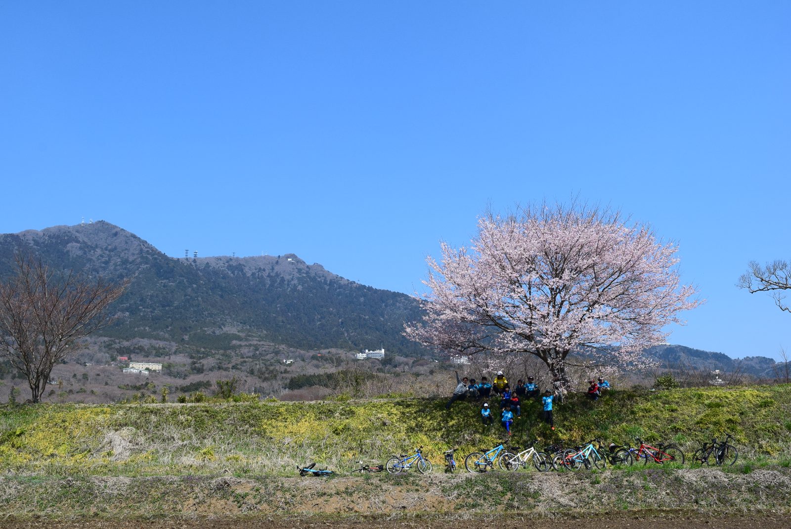 桜の下でのチャリ旅